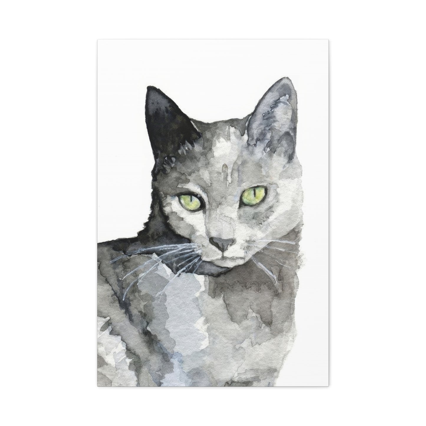 Cat Grey Wall Art & Canvas Prints