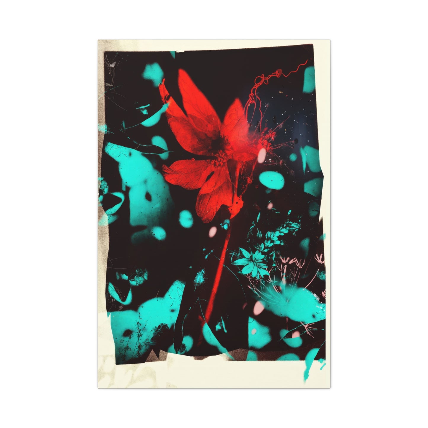 Crimson Burst Wall Art & Canvas Prints