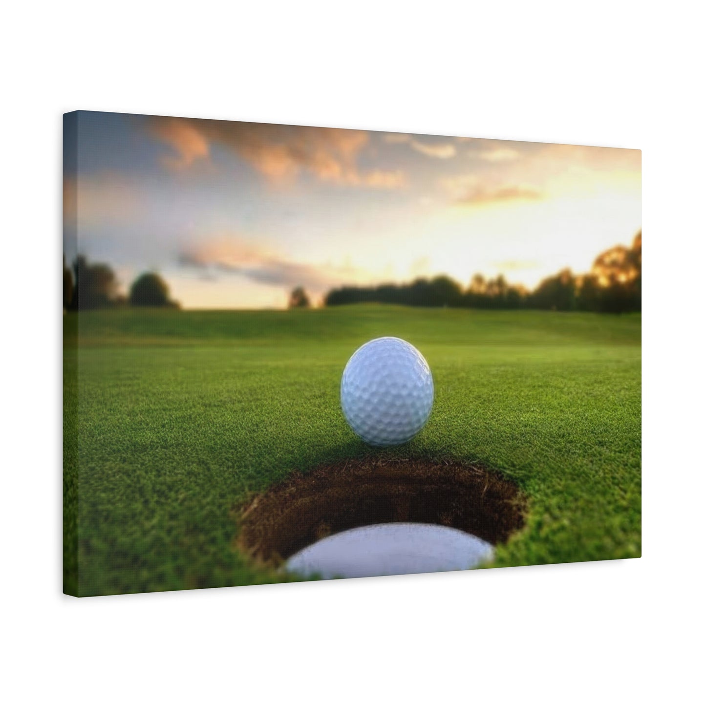 Golf Ball Cup Closeup Wall Art & Canvas Prints