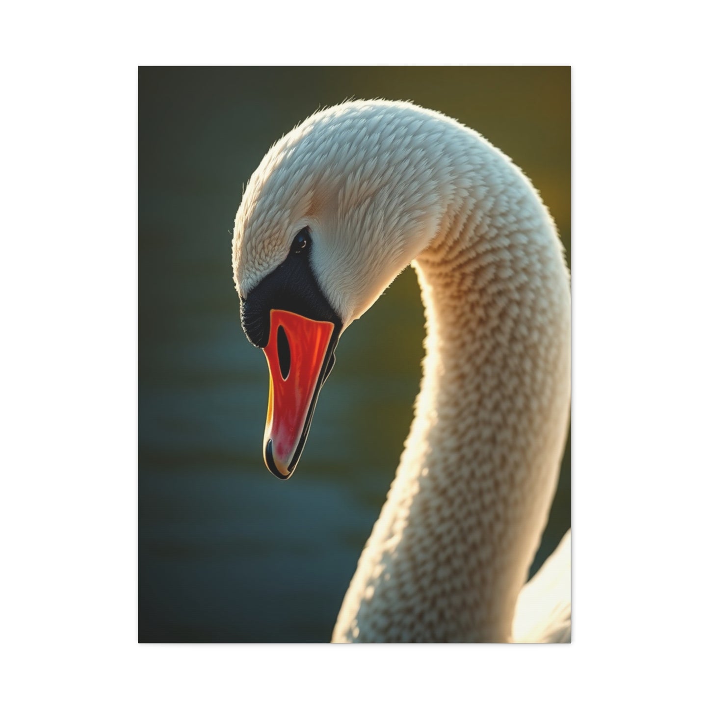 Swan Art Canvas Art 1 Wall Art & Canvas Print