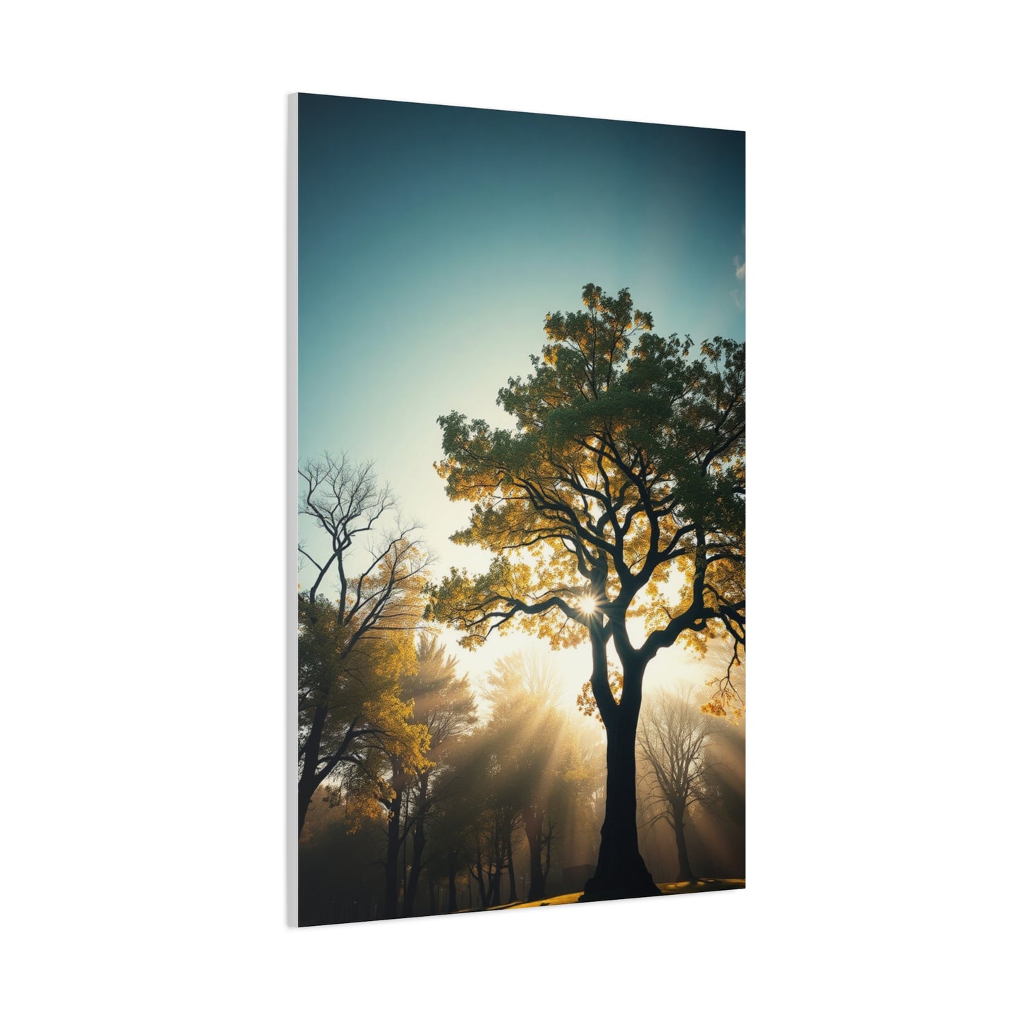 Serene Timberland Canvas Wall Art & Canvas Print