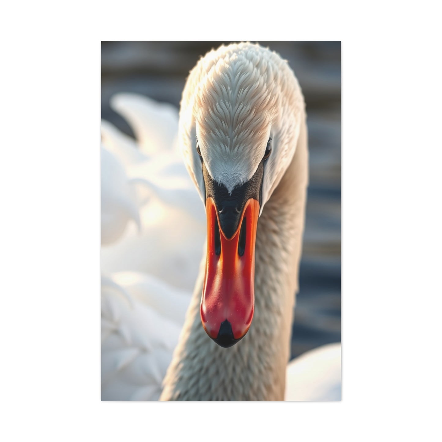 Swan Art Canvas Art 4 Wall Art & Canvas Print