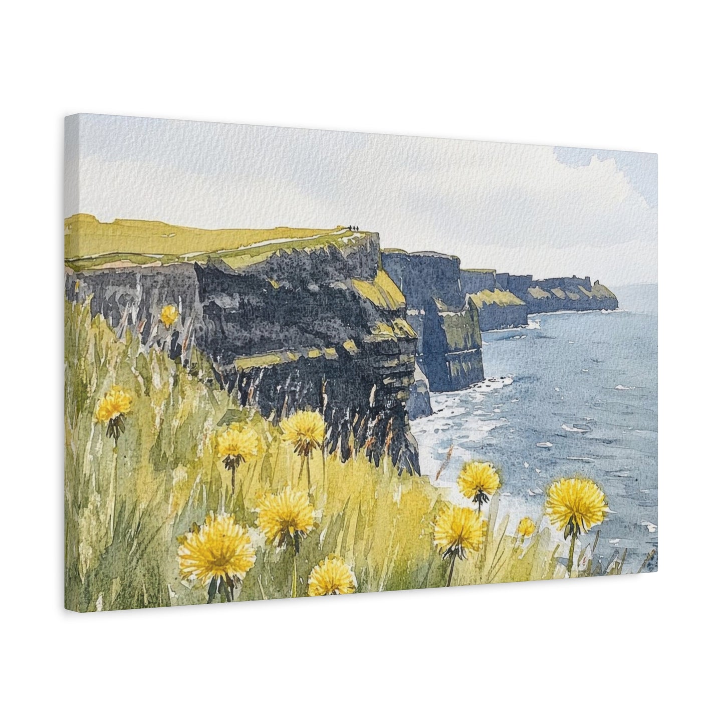 Cliff Of Moher Ireland Wall Art & Canvas Prints