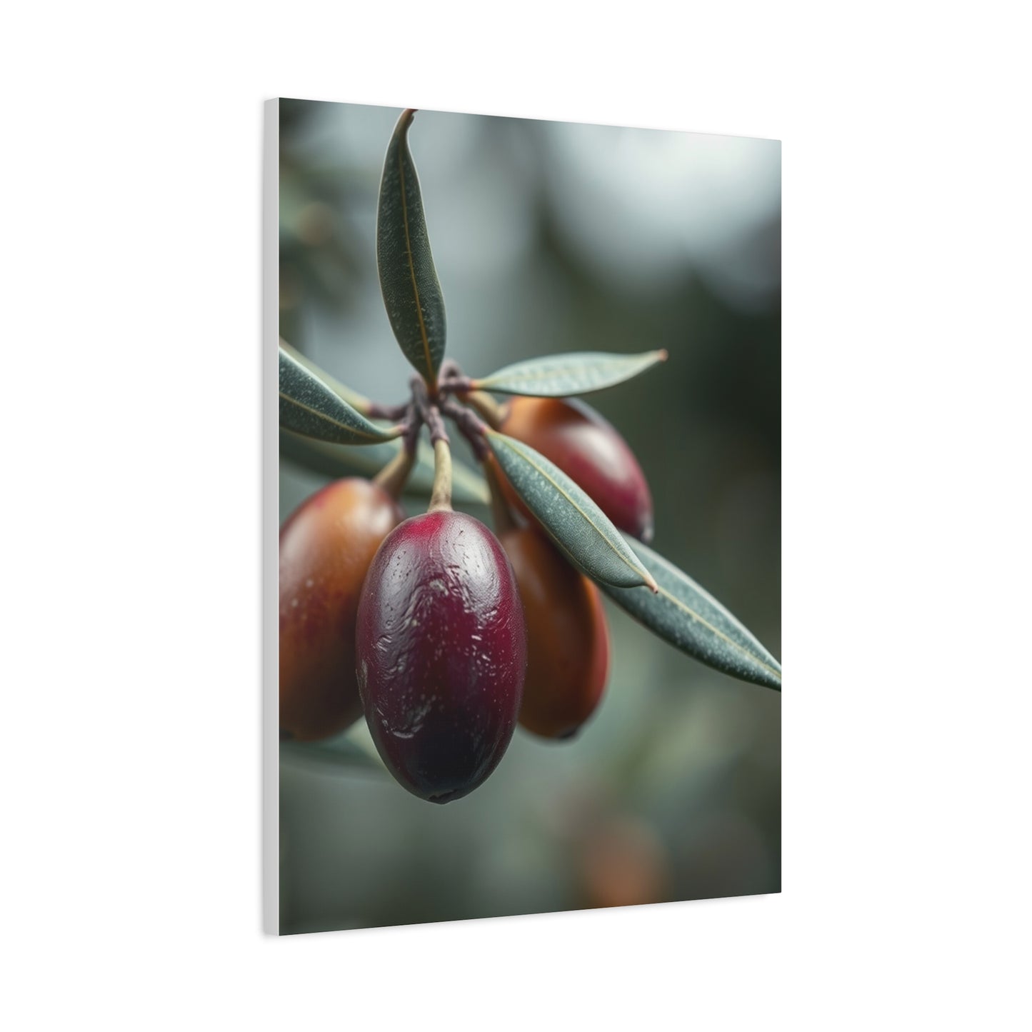 Olive Tranquility Tableau Wall Art & Canvas Print