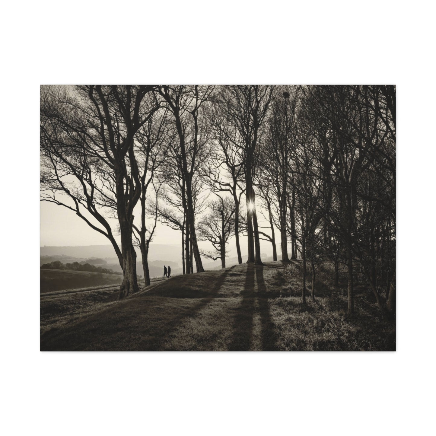 Forest Path at Dawn Wall Art & Canvas Prints