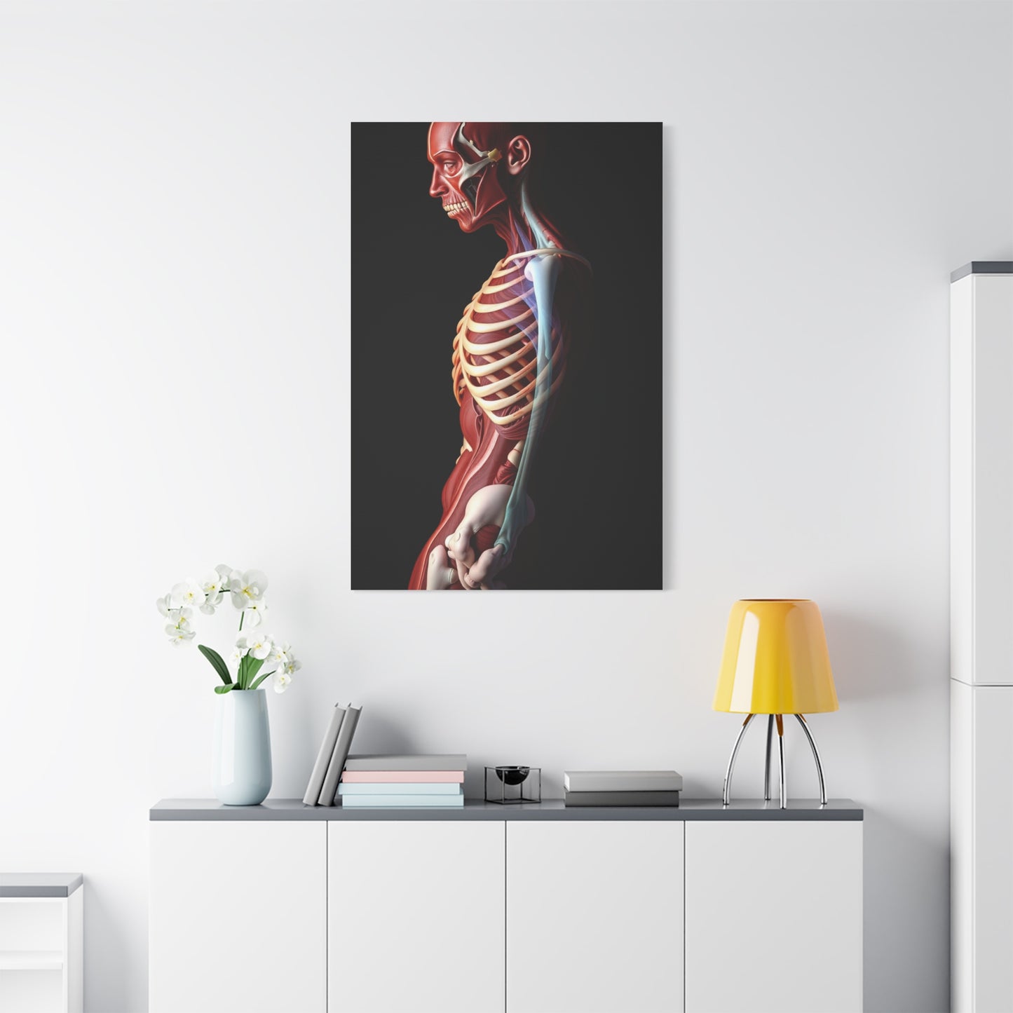 Supreme Art Collection Anatomy Wall Art & Canvas Print