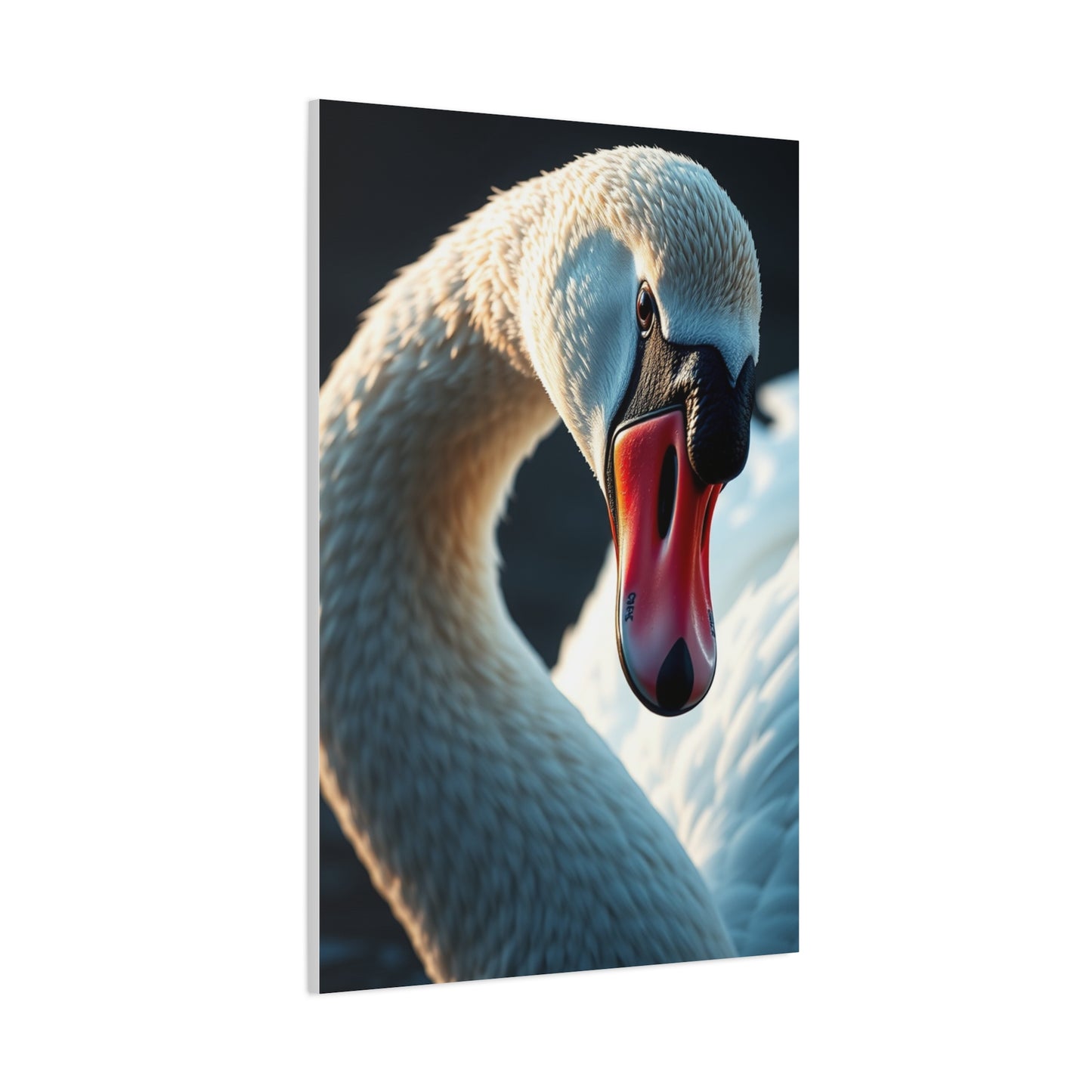 Swan Art Canvas Art 3 Wall Art & Canvas Print