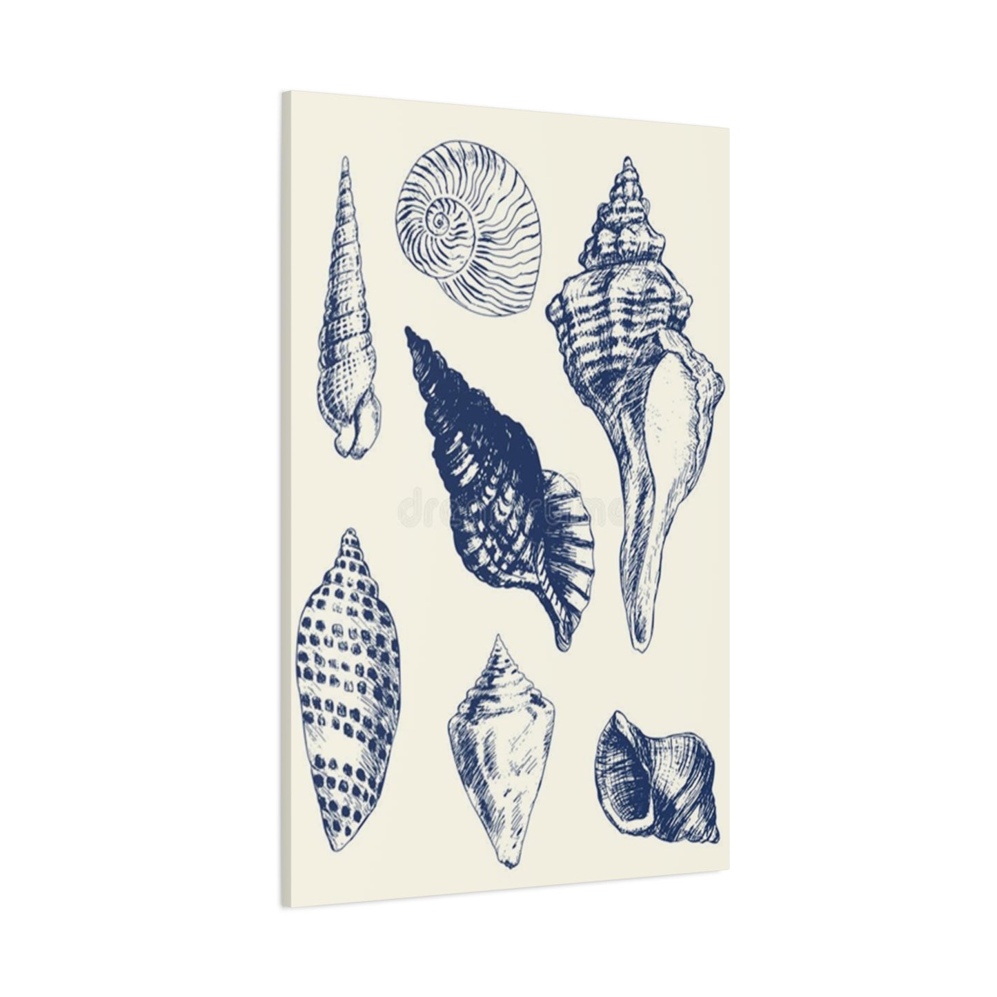 Blue Different Shell Shapes Drawing Wall Art & Canvas Prints