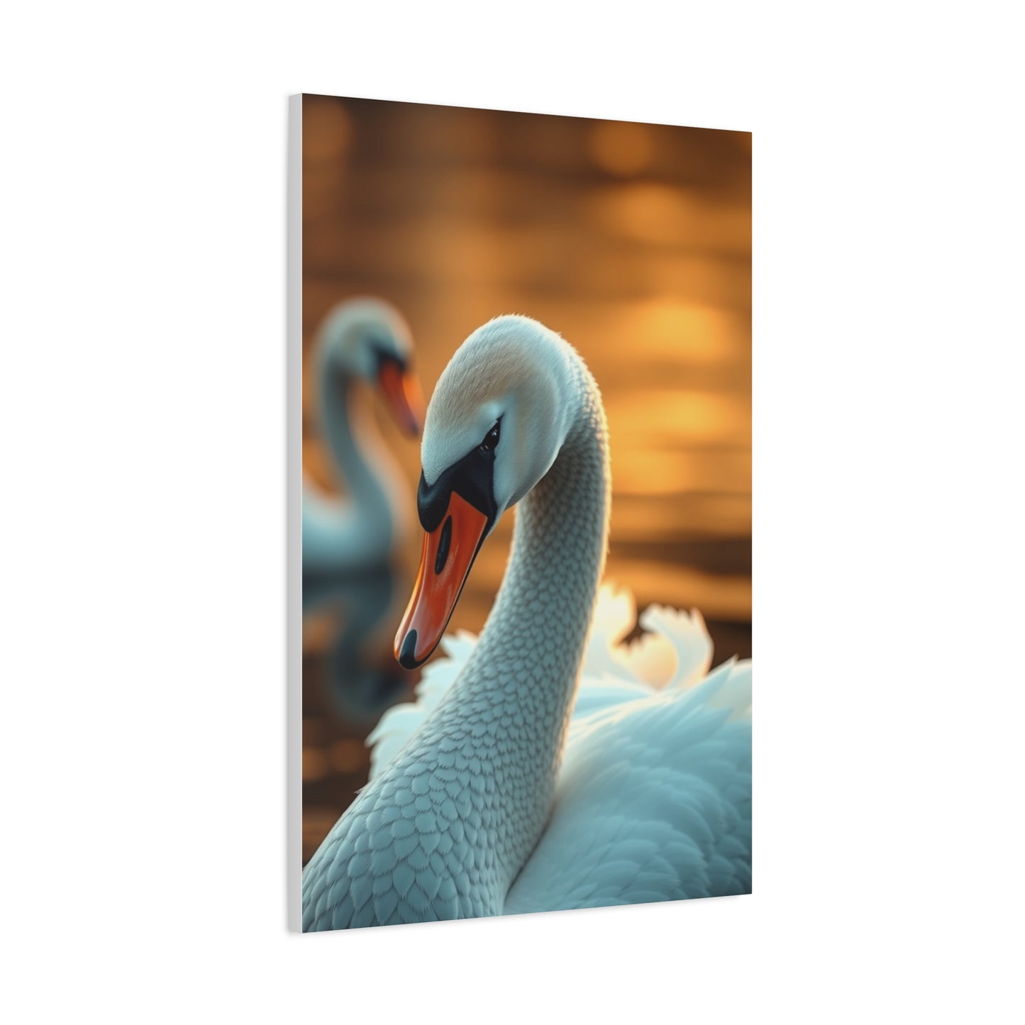 Swan Art Canvas Art 2 Wall Art & Canvas Print