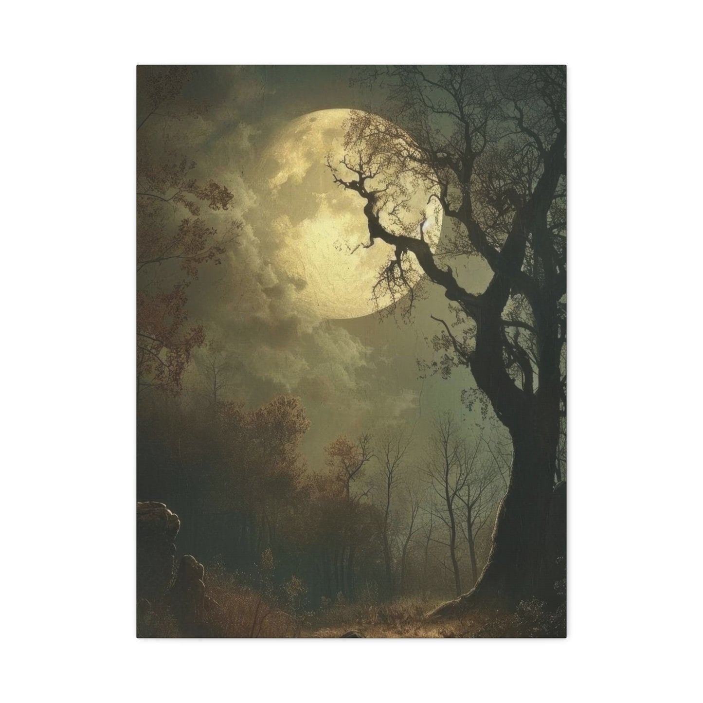 Moon At Night Dark Academia Wall Art & Canvas Prints