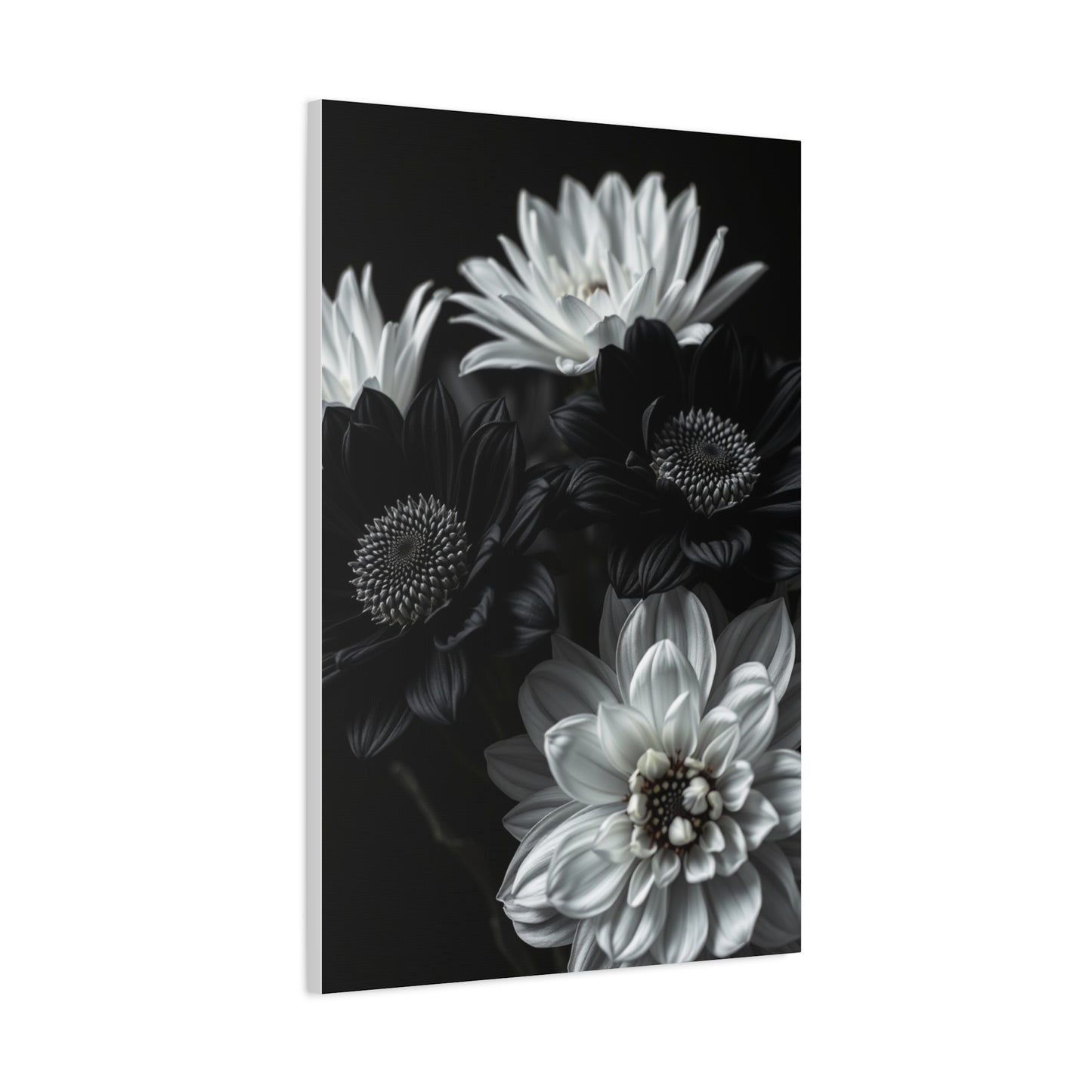 Monochrome Bloom Elegance Wall Art & Canvas Print