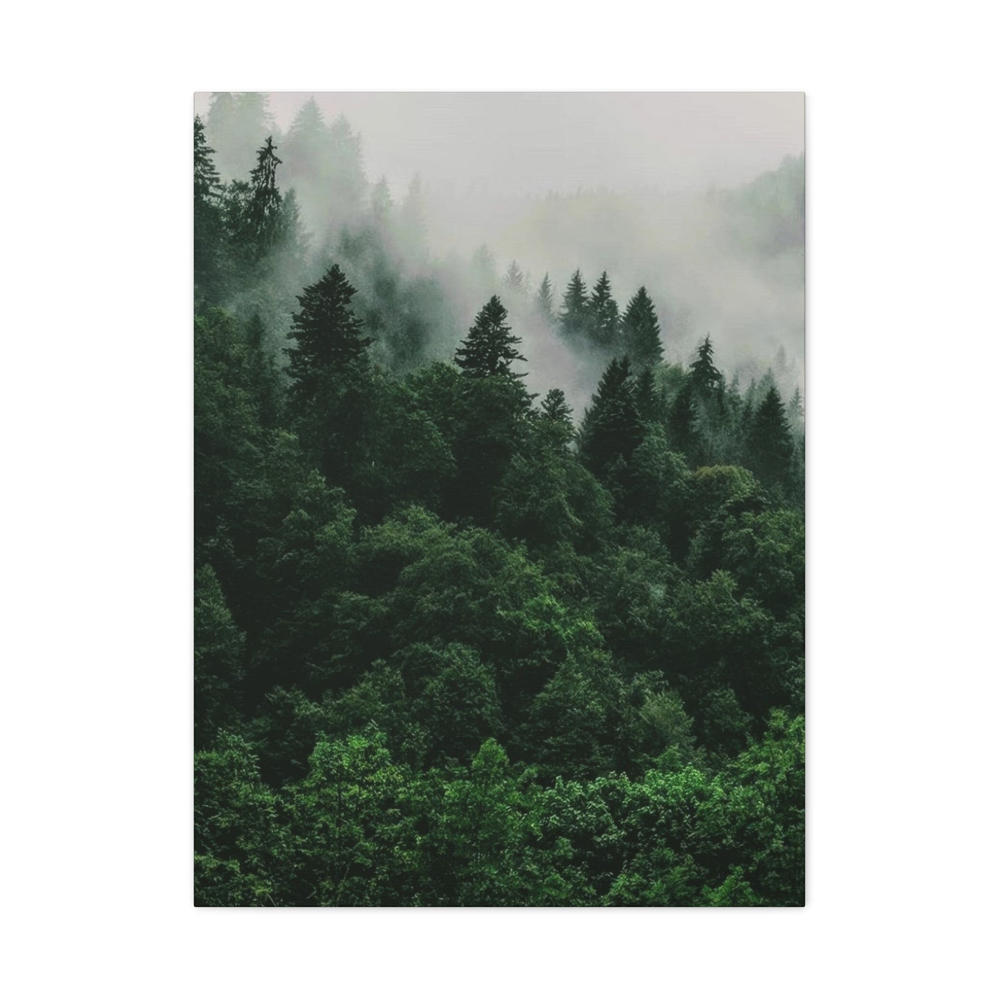 Green Lush Forest Wall Art & Canvas Prints