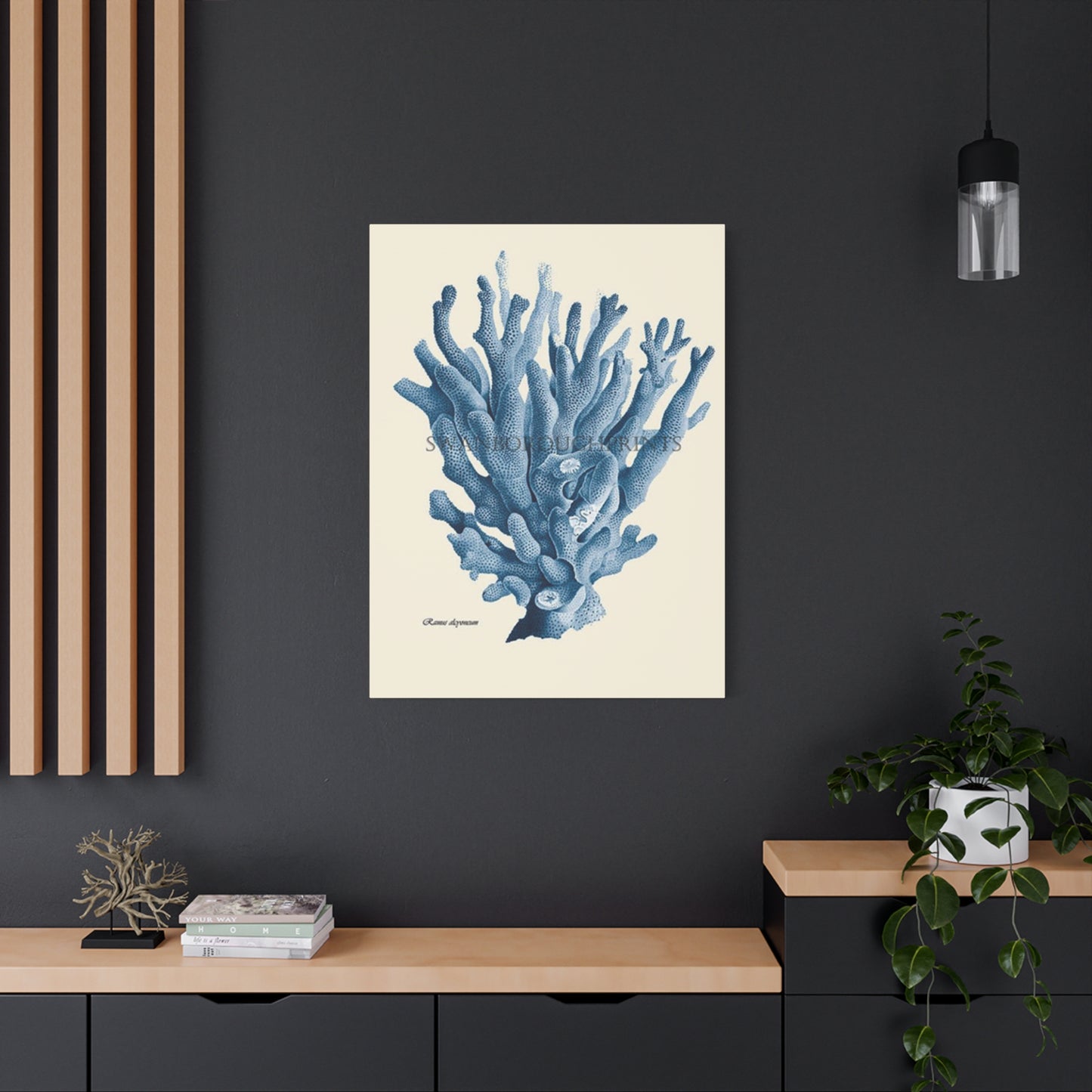 Beautiful Blue Shell Stem Poster Wall Art & Canvas Prints