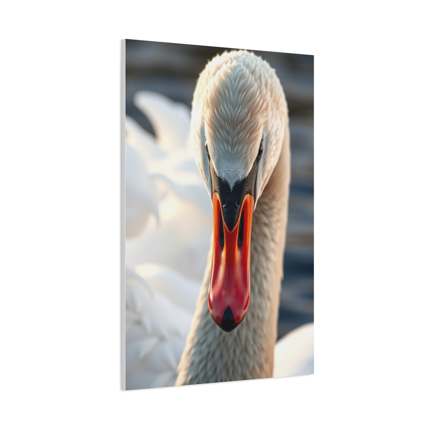 Swan Art Canvas Art 4 Wall Art & Canvas Print