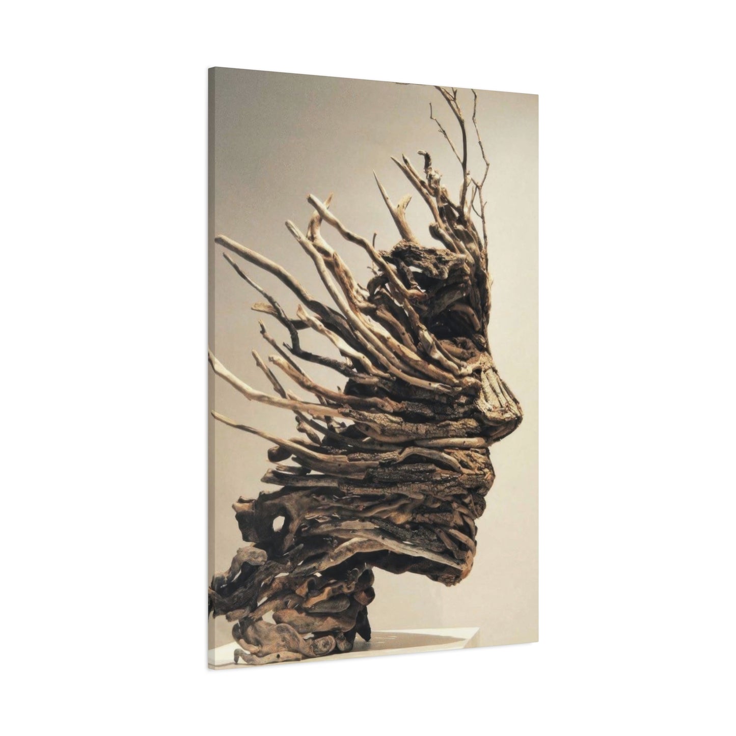 Driftwood Face Wall Art & Canvas Prints