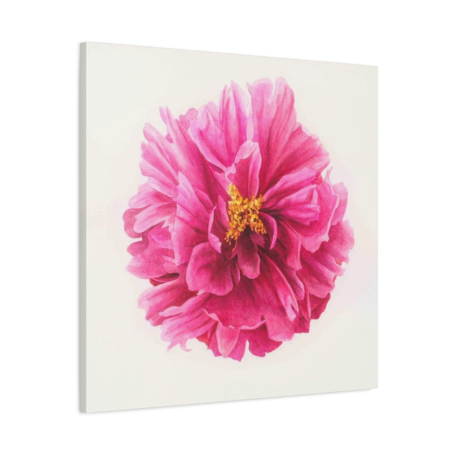 Grace Popp Pink Flower Head Wall Art & Canvas Prints