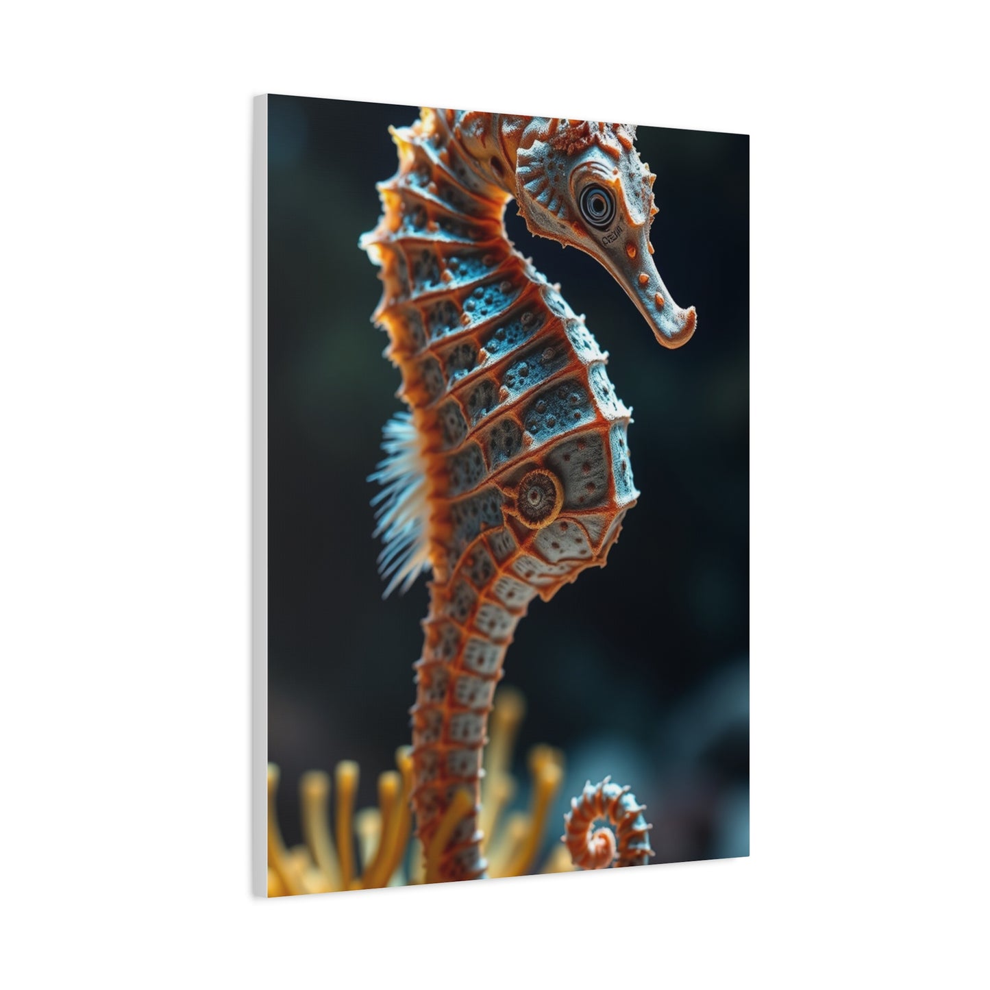 Seahorse Art Canvas Art 8 Wall Art & Canvas Print