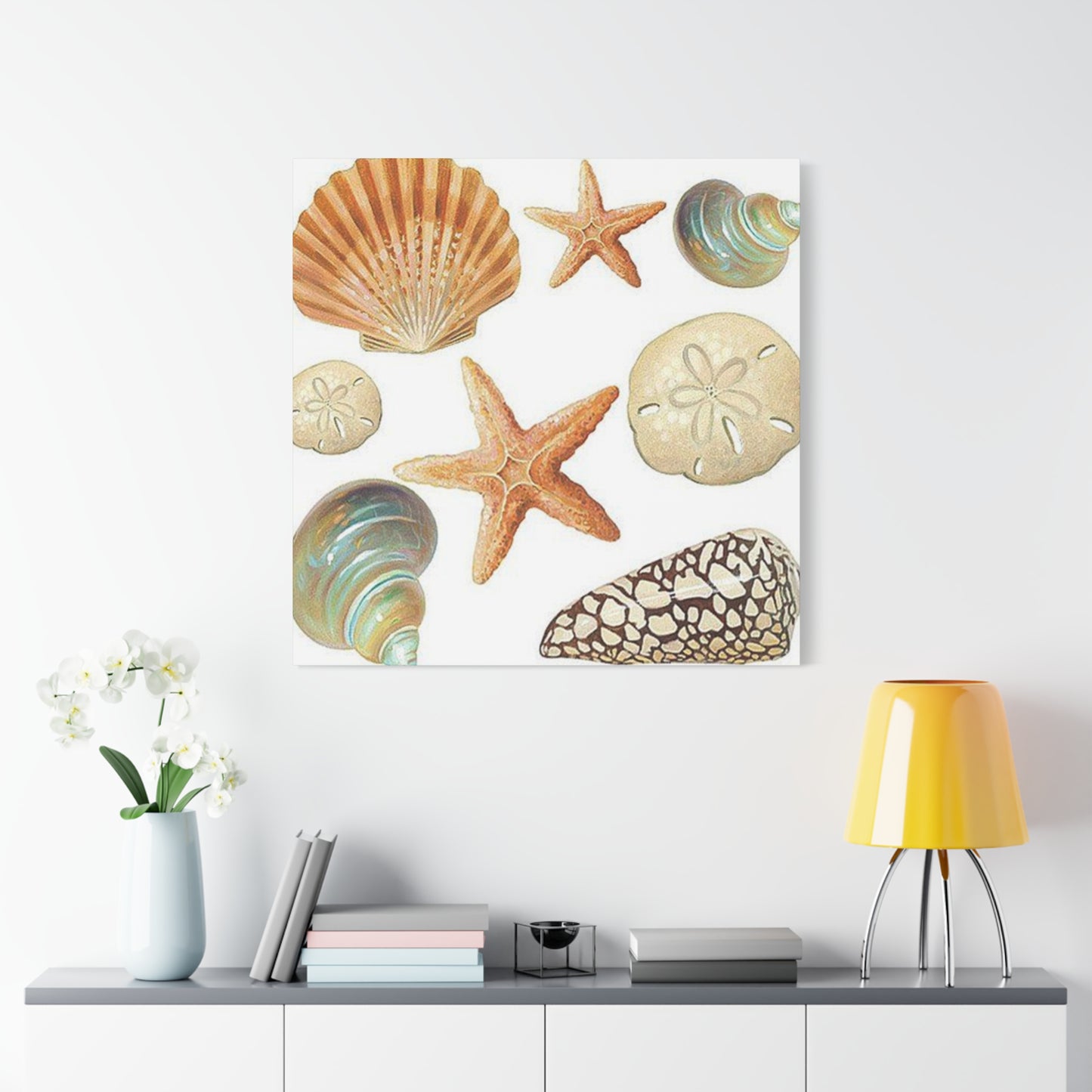 Star Sea Shells Wall Art & Canvas Prints