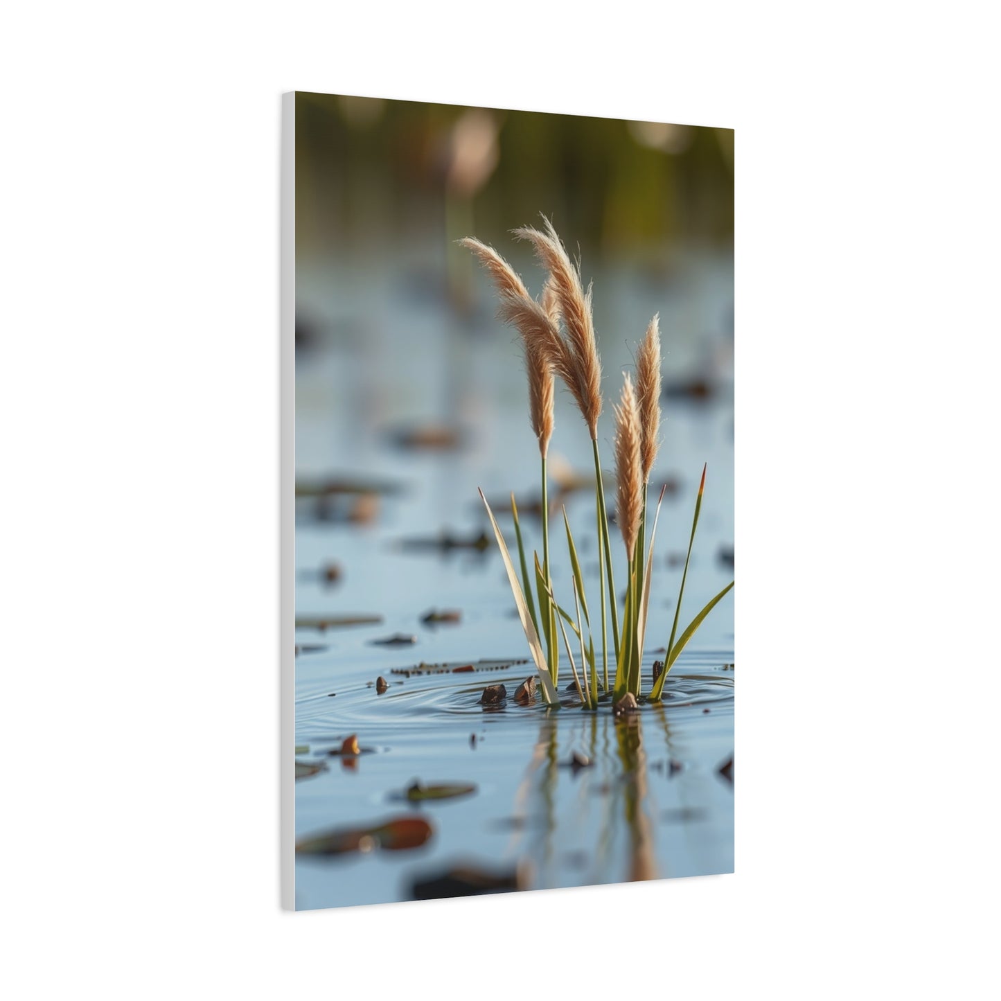 Marsh & Swamp Art Canvas Art 5 Wall Art & Canvas Print