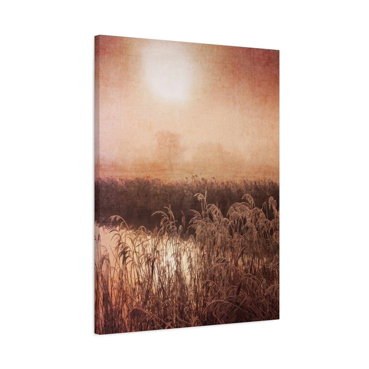 Golden Hour Marsh Wall Art & Canvas Prints