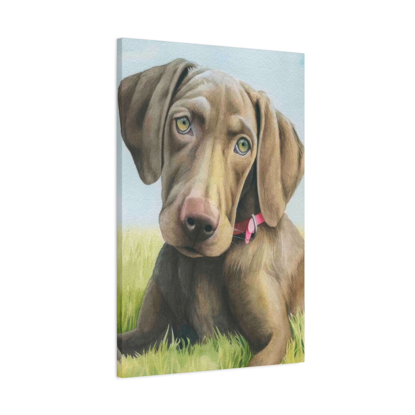 Grace Popp The Dog Wall Art & Canvas Prints