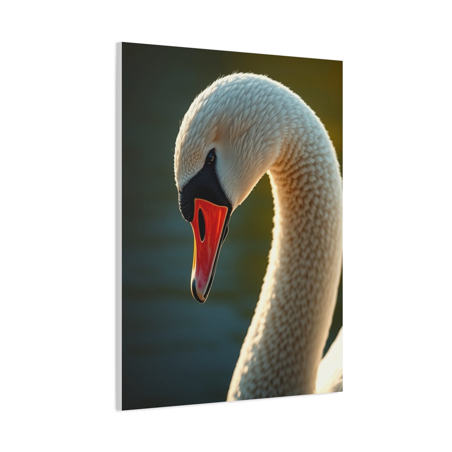 Swan Art Canvas Art 1 Wall Art & Canvas Print