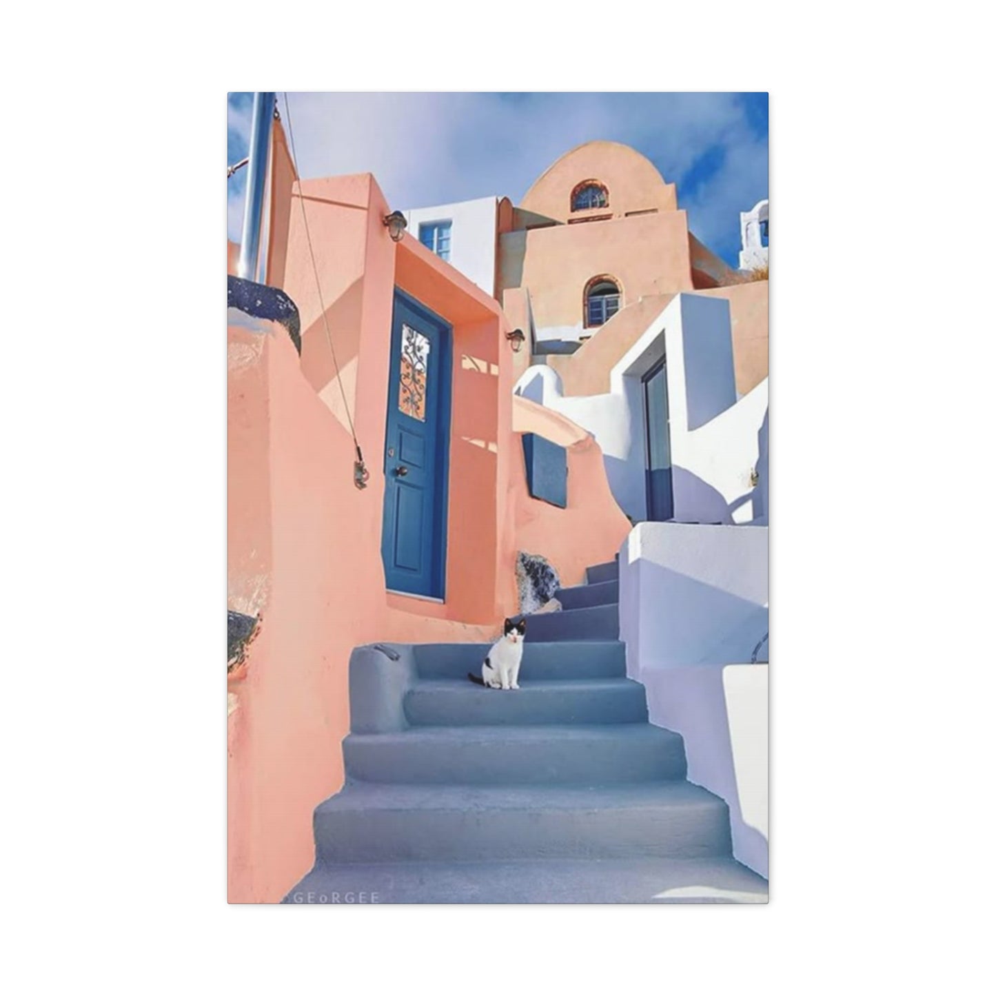 Cat On Street Of Spain Wall Art & Canvas Prints