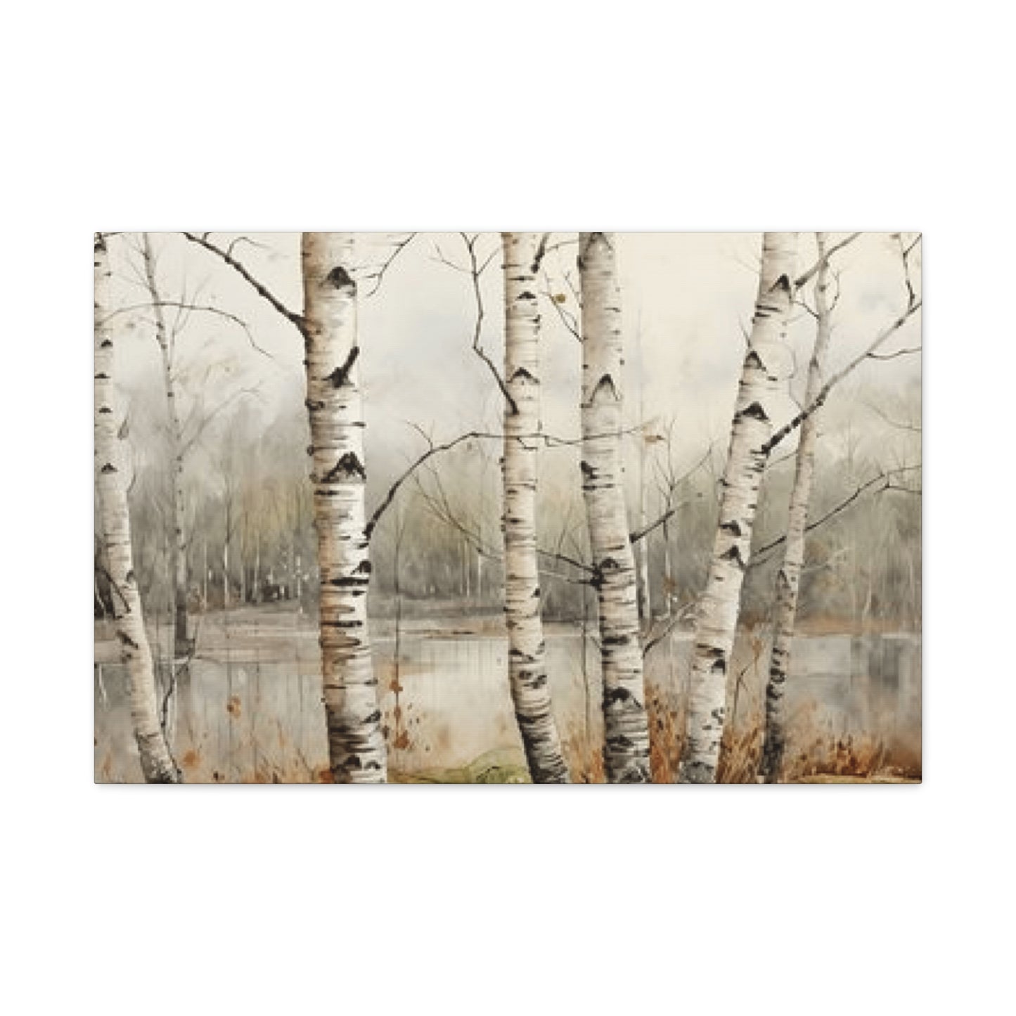 Birch Trees Beside Lake Wall Art & Canvas Prints
