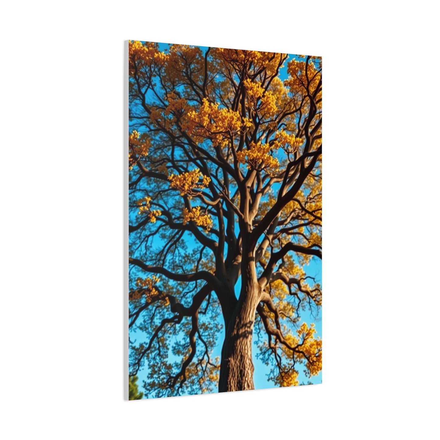 Majestic Grove Masterpiece Wall Art & Canvas Print