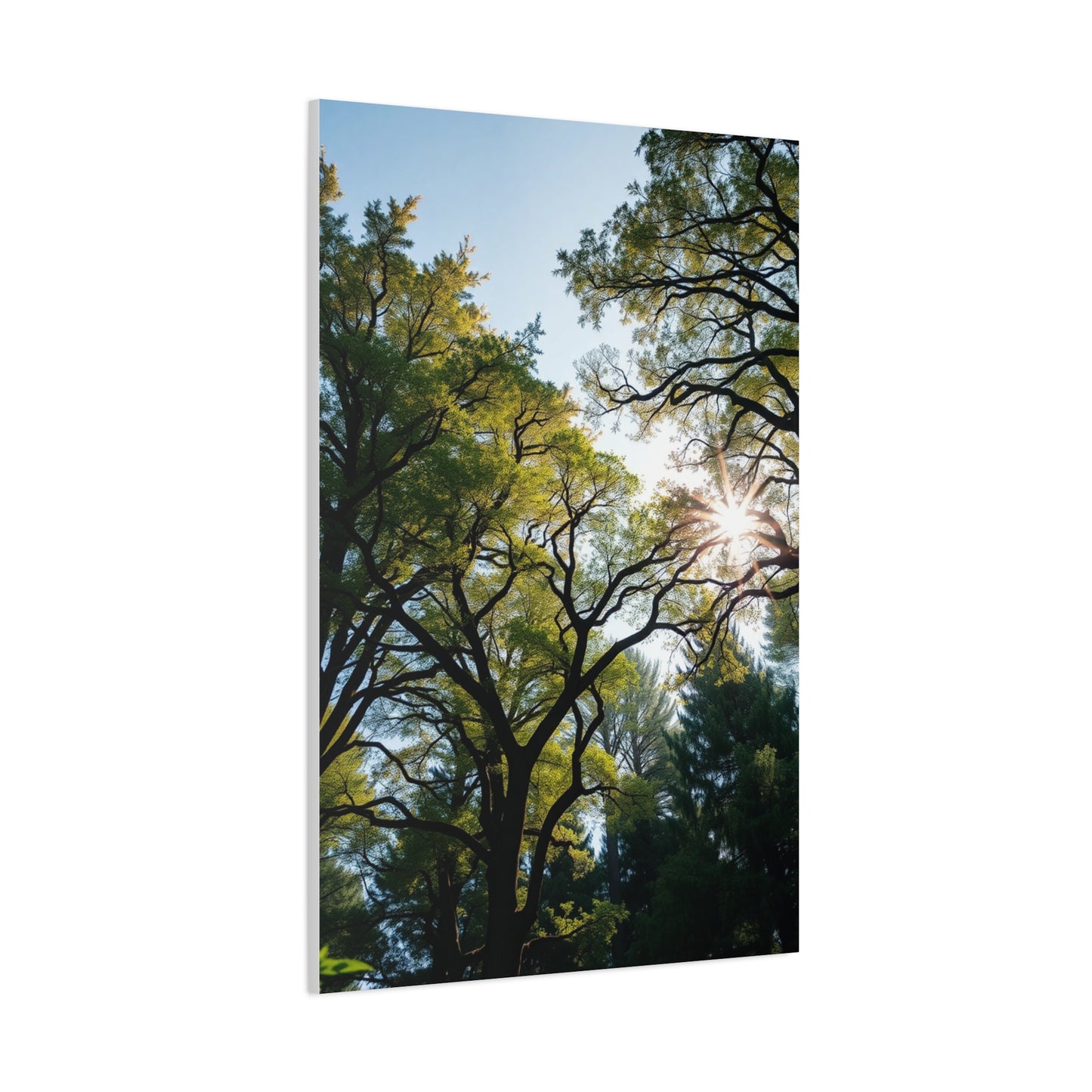 Timeless Woodland Tapestry Wall Art & Canvas Print