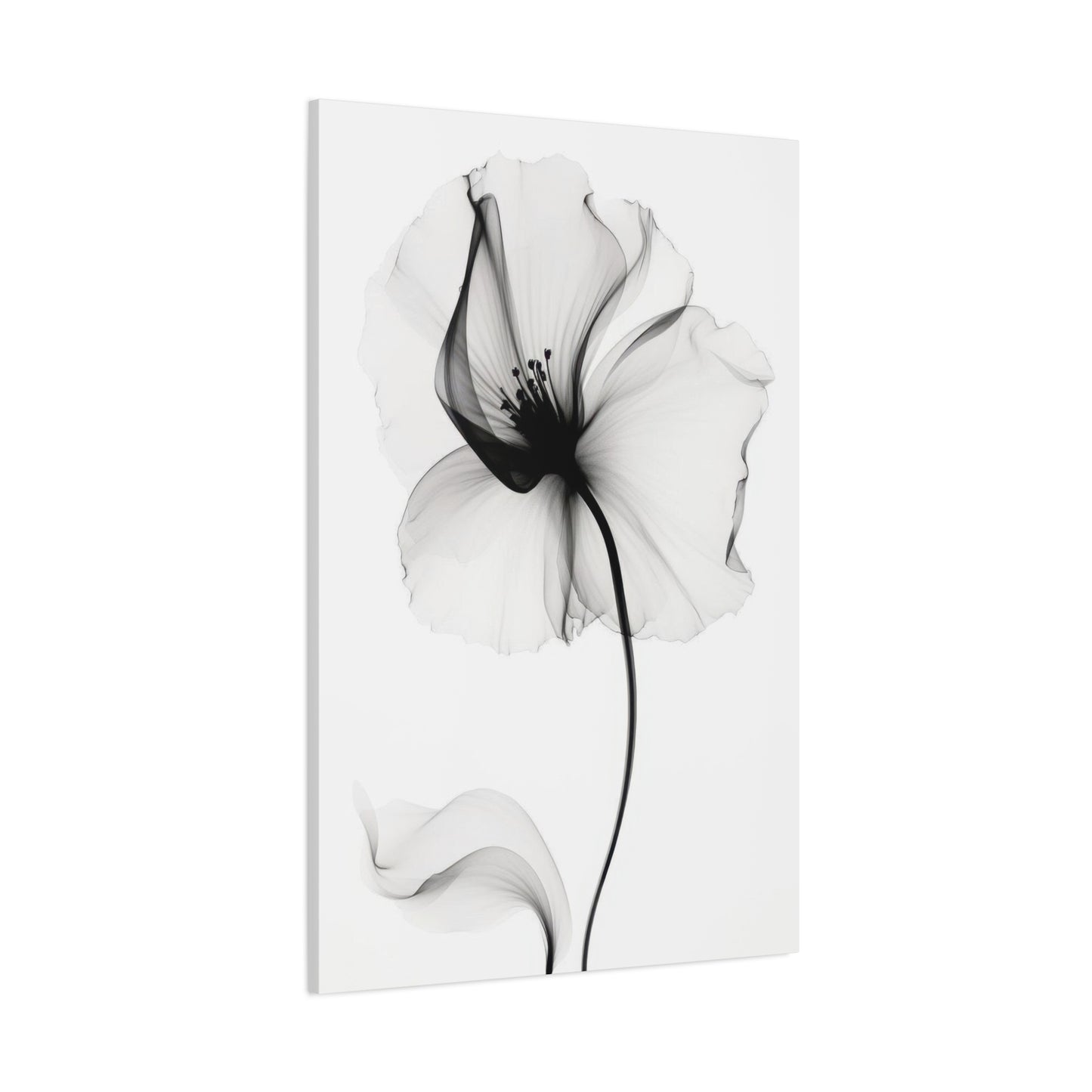Flower Grey Wall Art & Canvas Prints