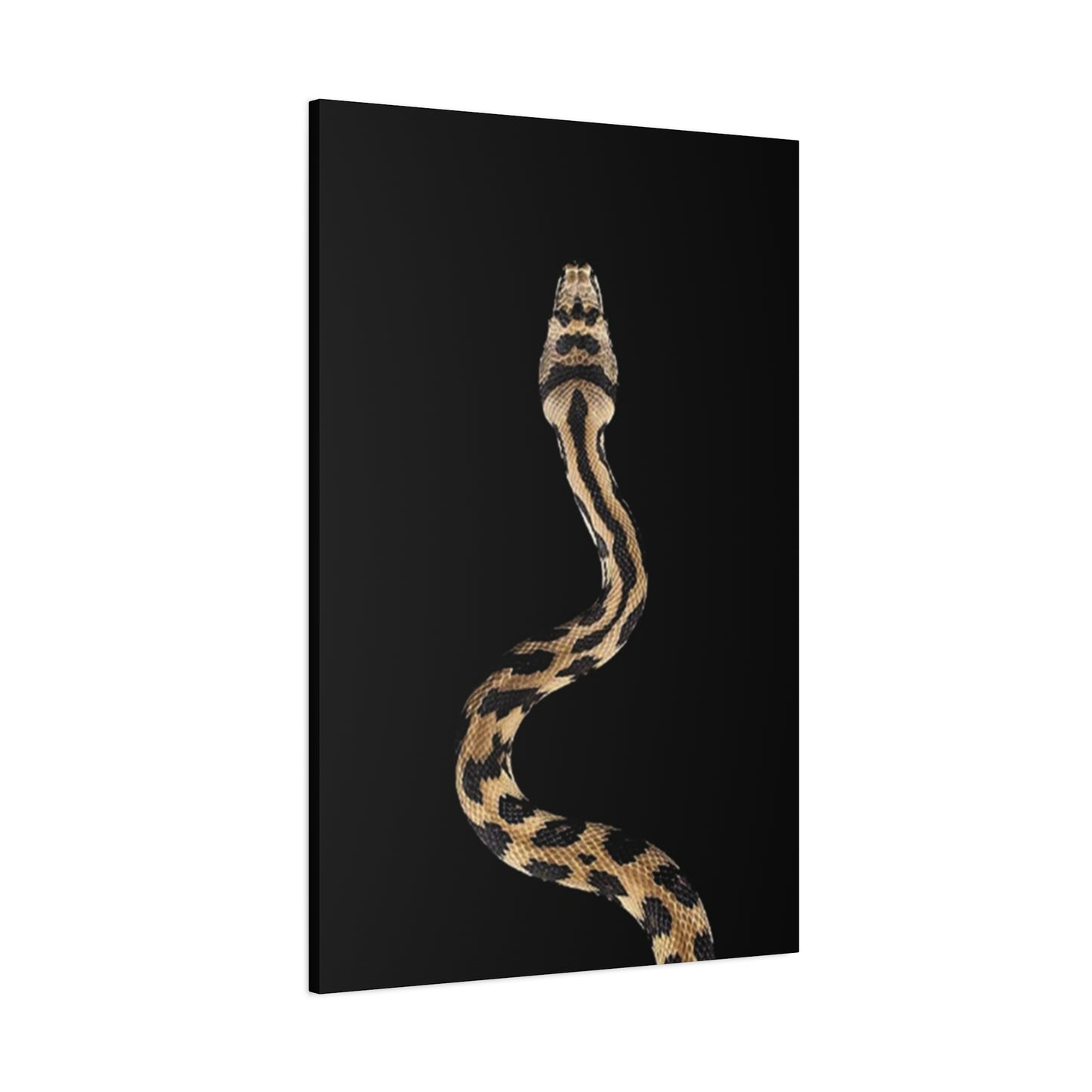 Snake On Poster Wall Art & Canvas Prints