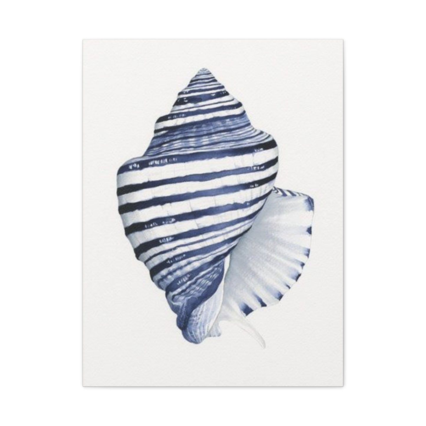 Blue & White Shell Drawing Wall Art & Canvas Prints