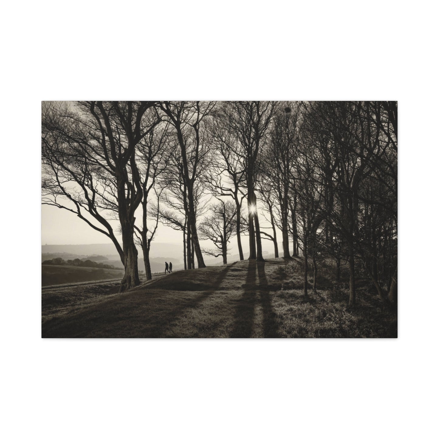 Forest Path at Dawn Wall Art & Canvas Prints