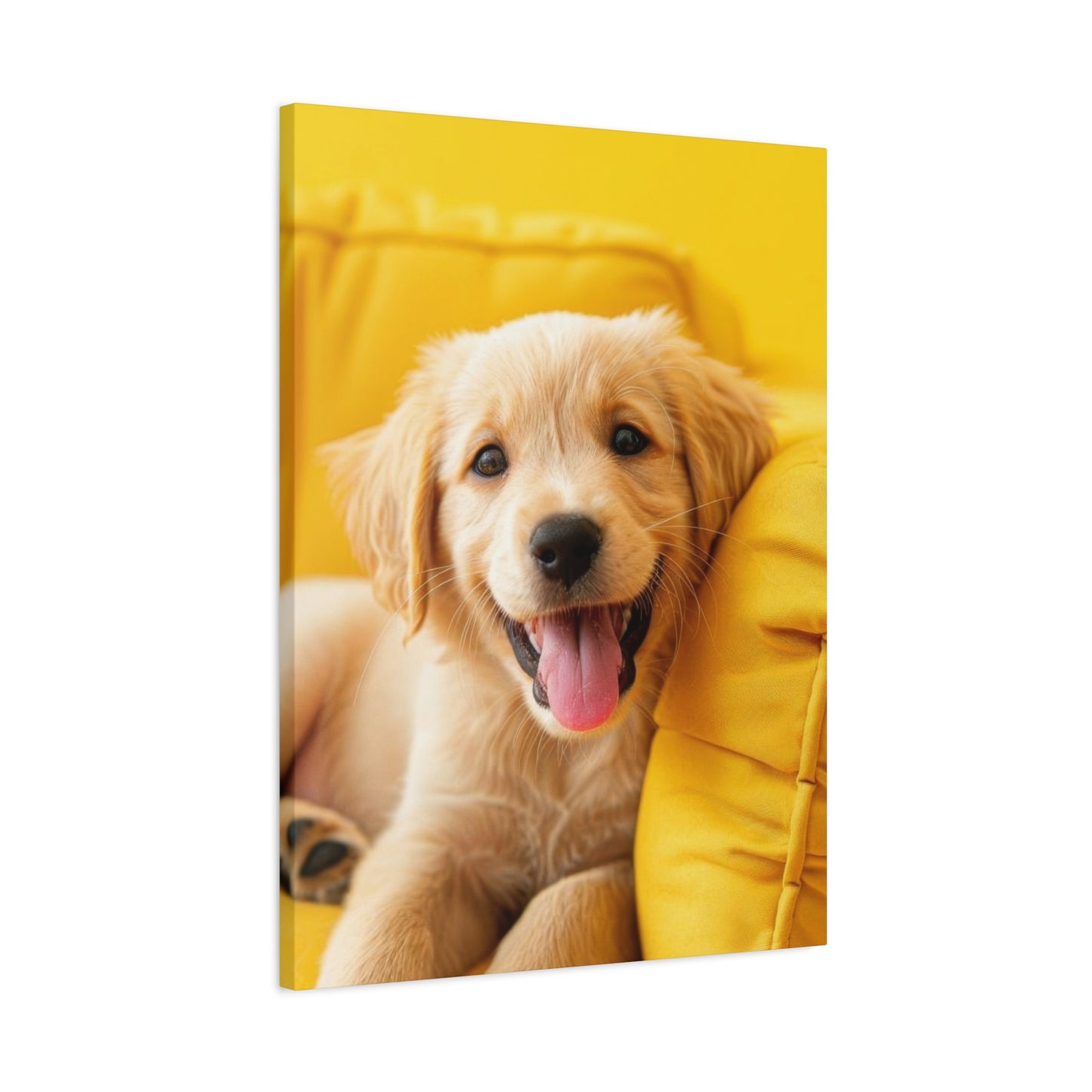 Golden Retriever On Sofa Dog Wall Art & Canvas Prints