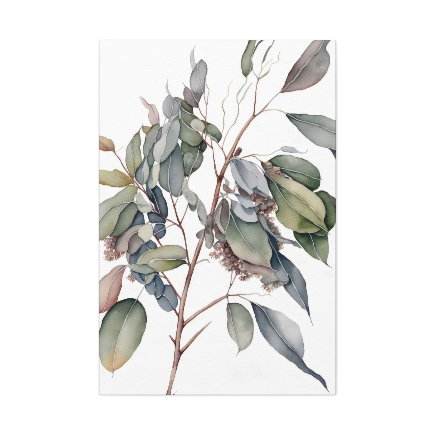 Eucalyptus Australian 2 Wall Art & Canvas Prints