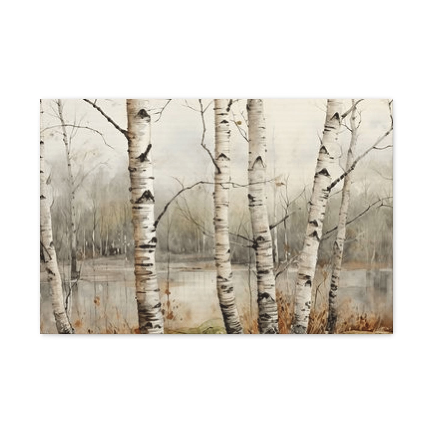 Birch Trees Beside Lake Wall Art & Canvas Prints