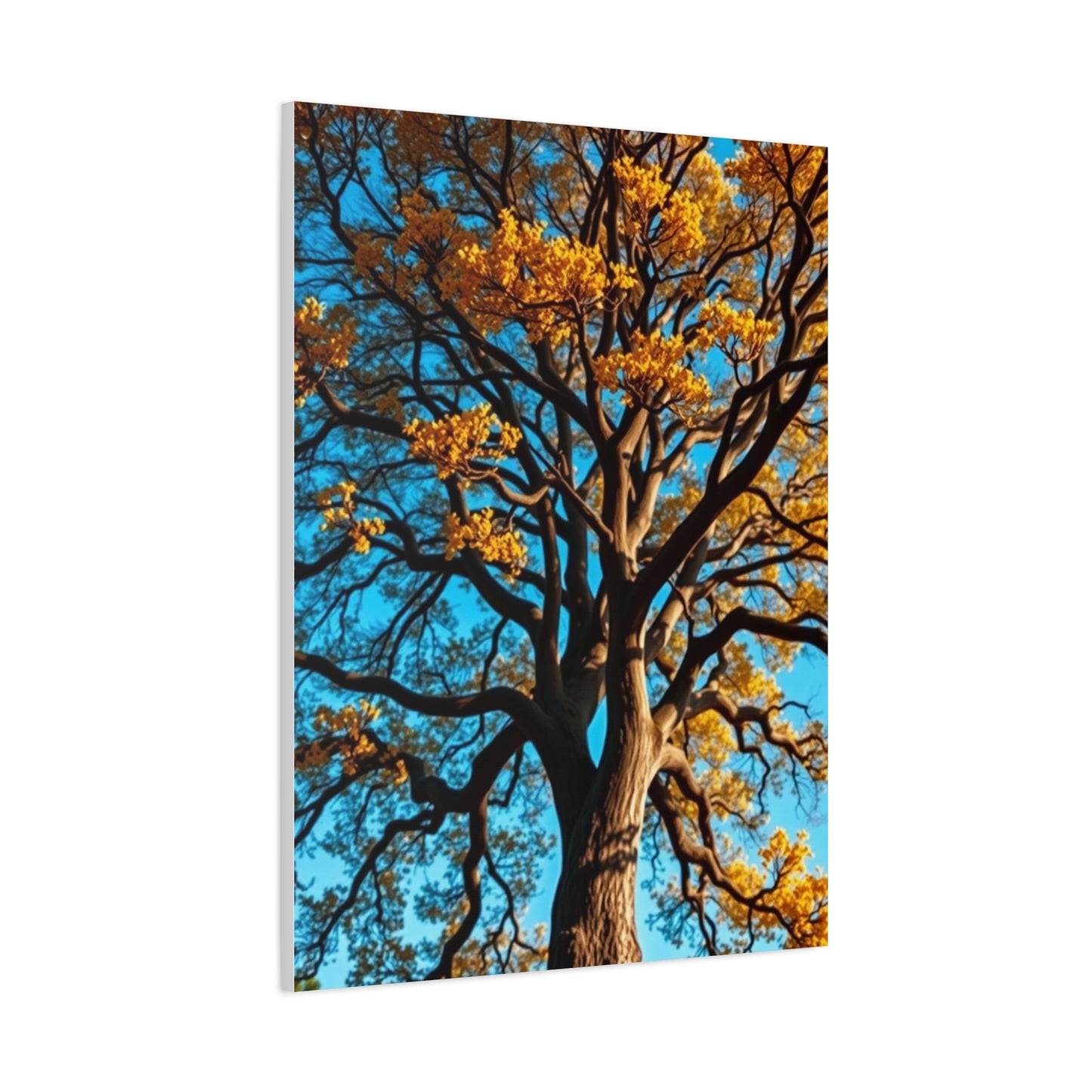Majestic Grove Masterpiece Wall Art & Canvas Print