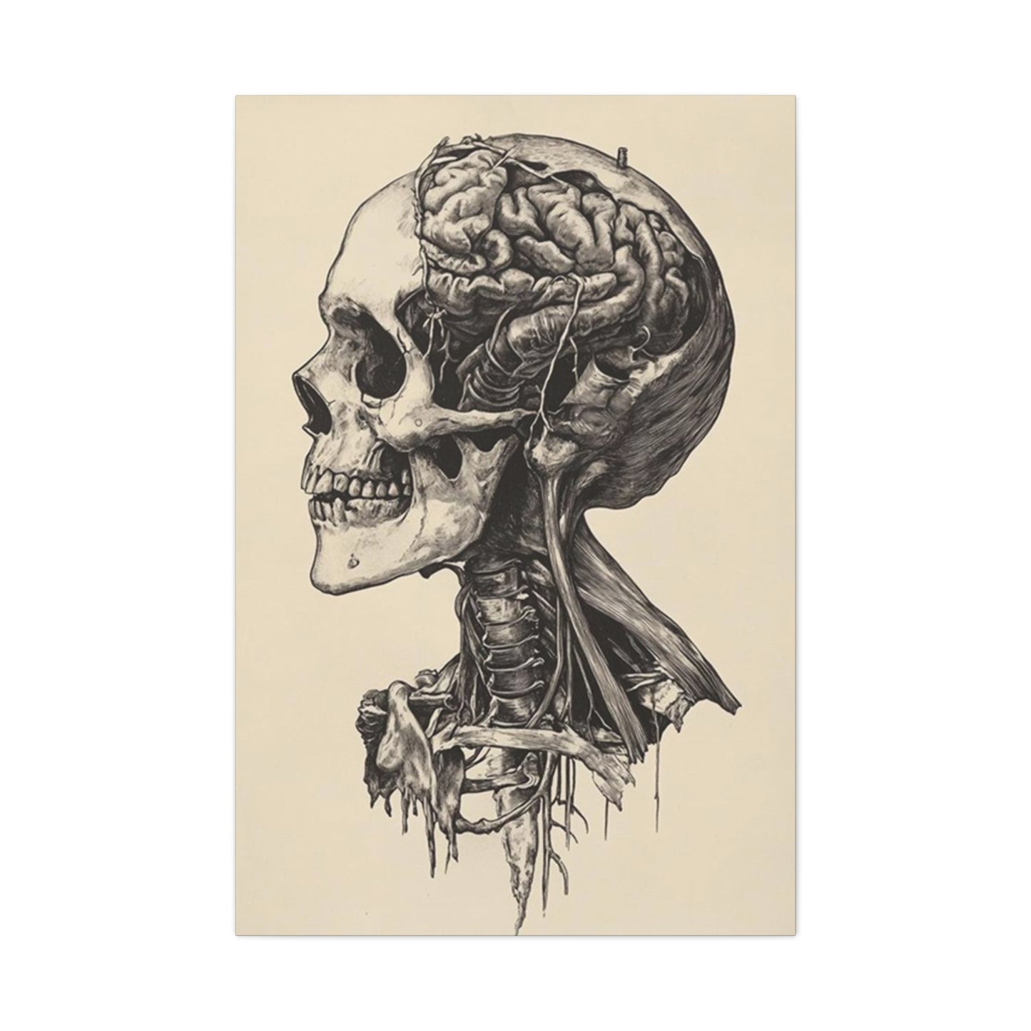 Brain In Skull Wall Art & Canvas Prints
