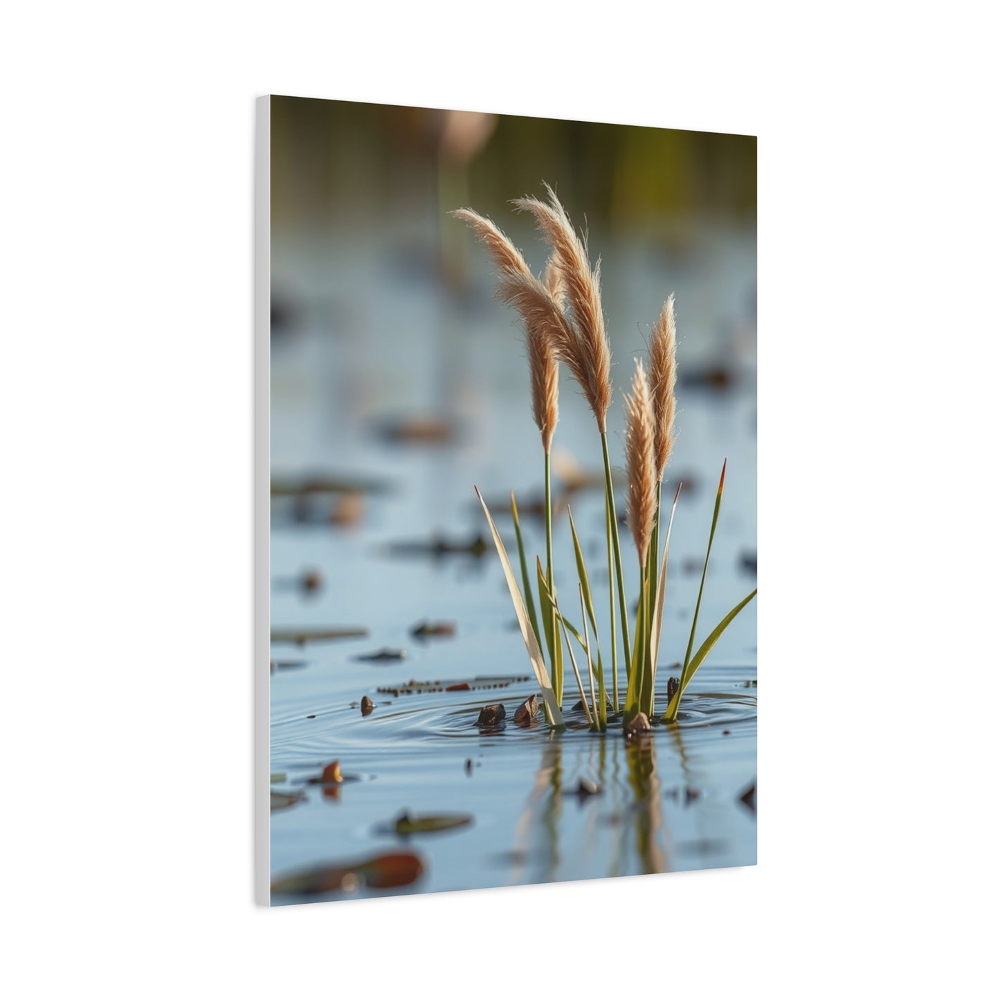 Marsh & Swamp Art Canvas Art 5 Wall Art & Canvas Print