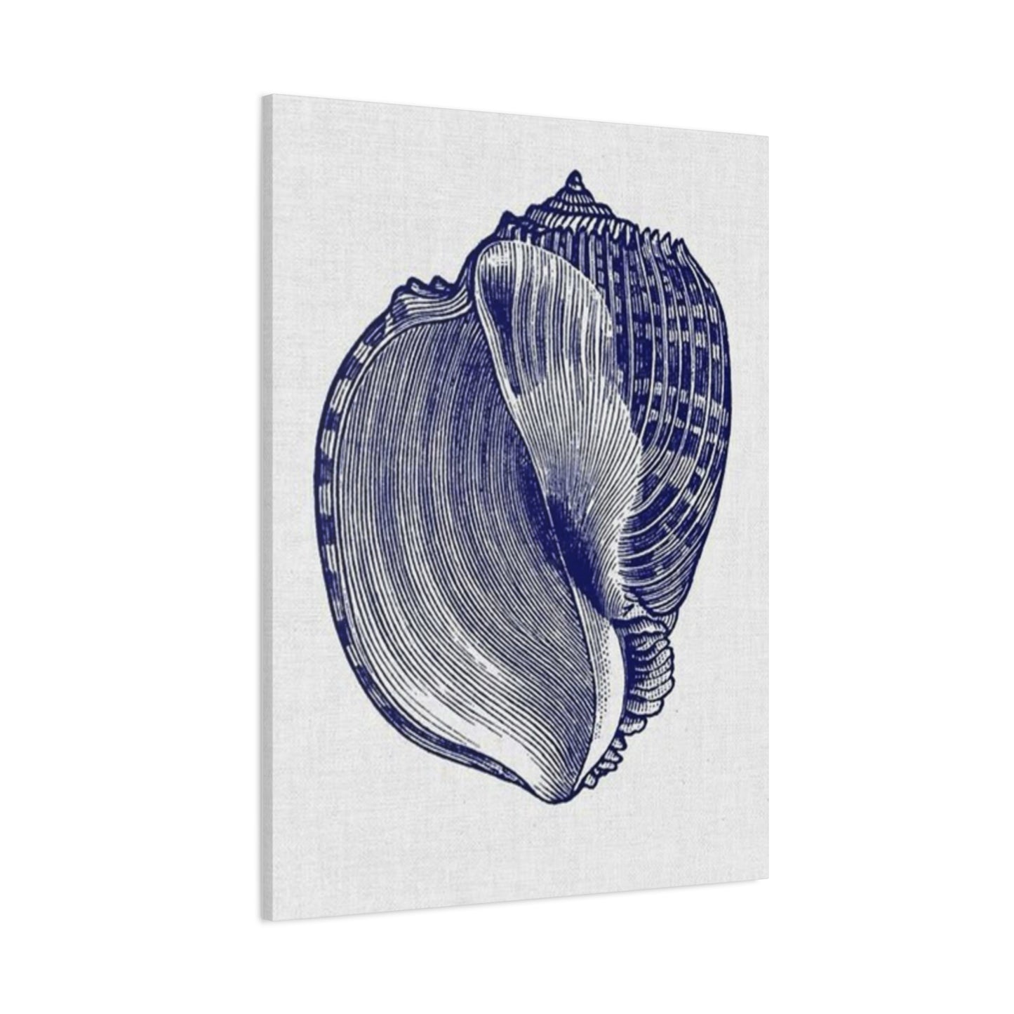 Beautiful Blue Shell Shape Drawing Wall Art & Canvas Prints