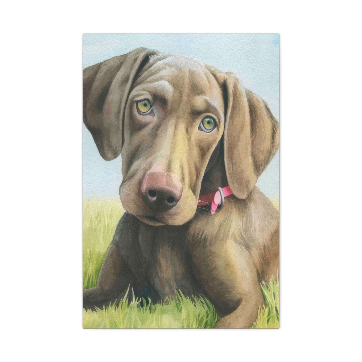 Grace Popp The Dog Wall Art & Canvas Prints