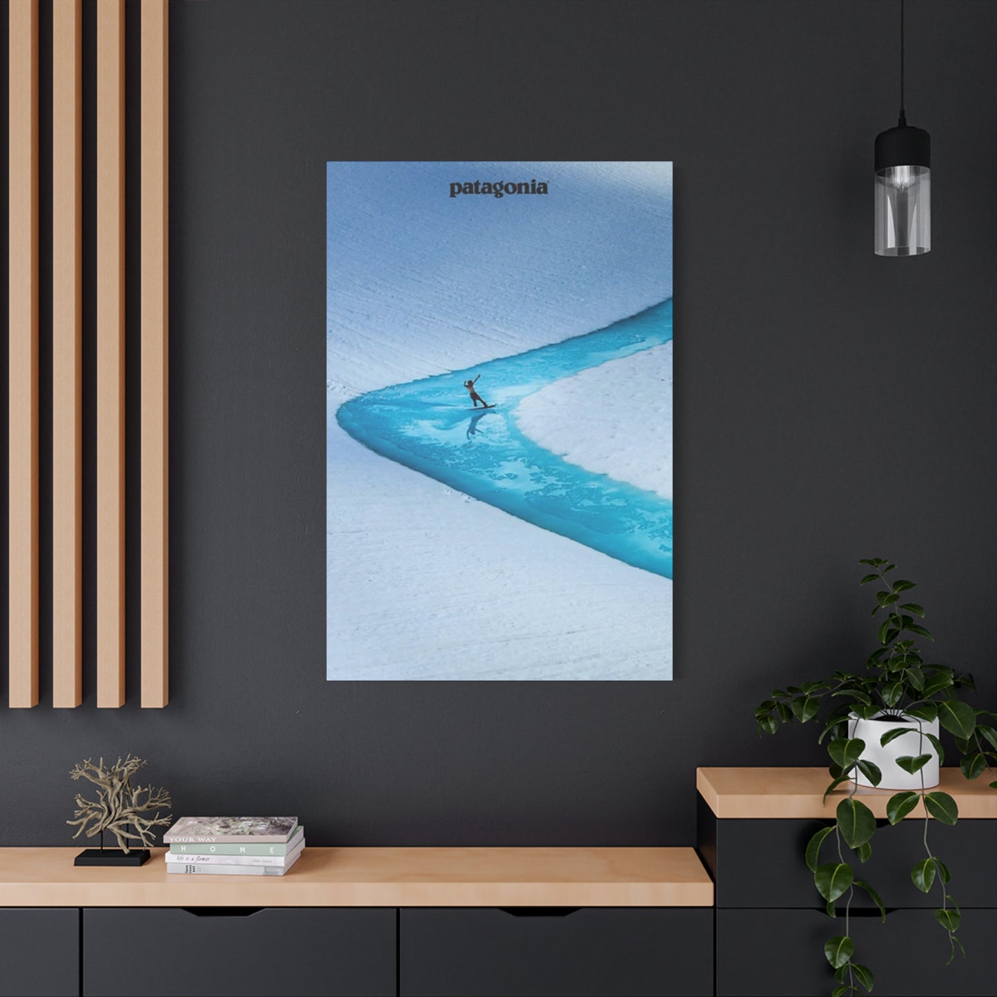 Patagonia River Skiing Wall Art & Canvas Prints