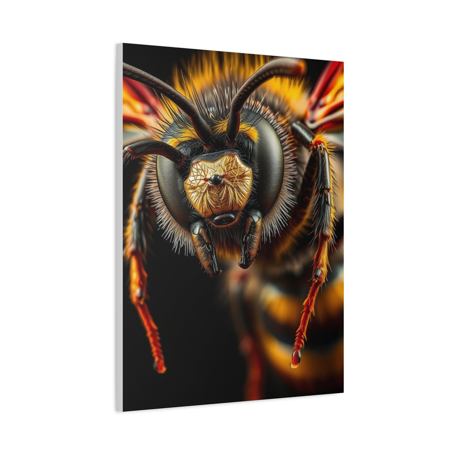 Bees, Hornet & Wasps Art Canvas Art 3 Wall Art & Canvas Print
