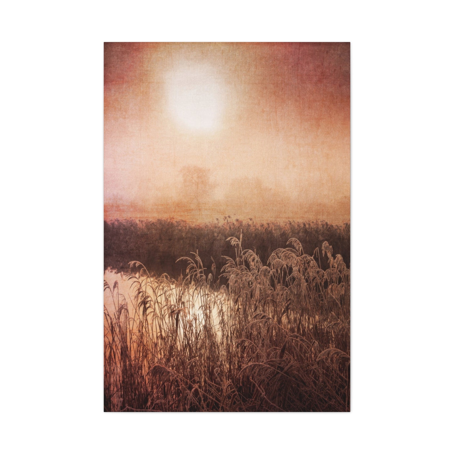 Golden Hour Marsh Wall Art & Canvas Prints