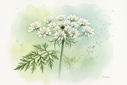 Brush with Realism: Attempting the Anna Mason Watercolor Style