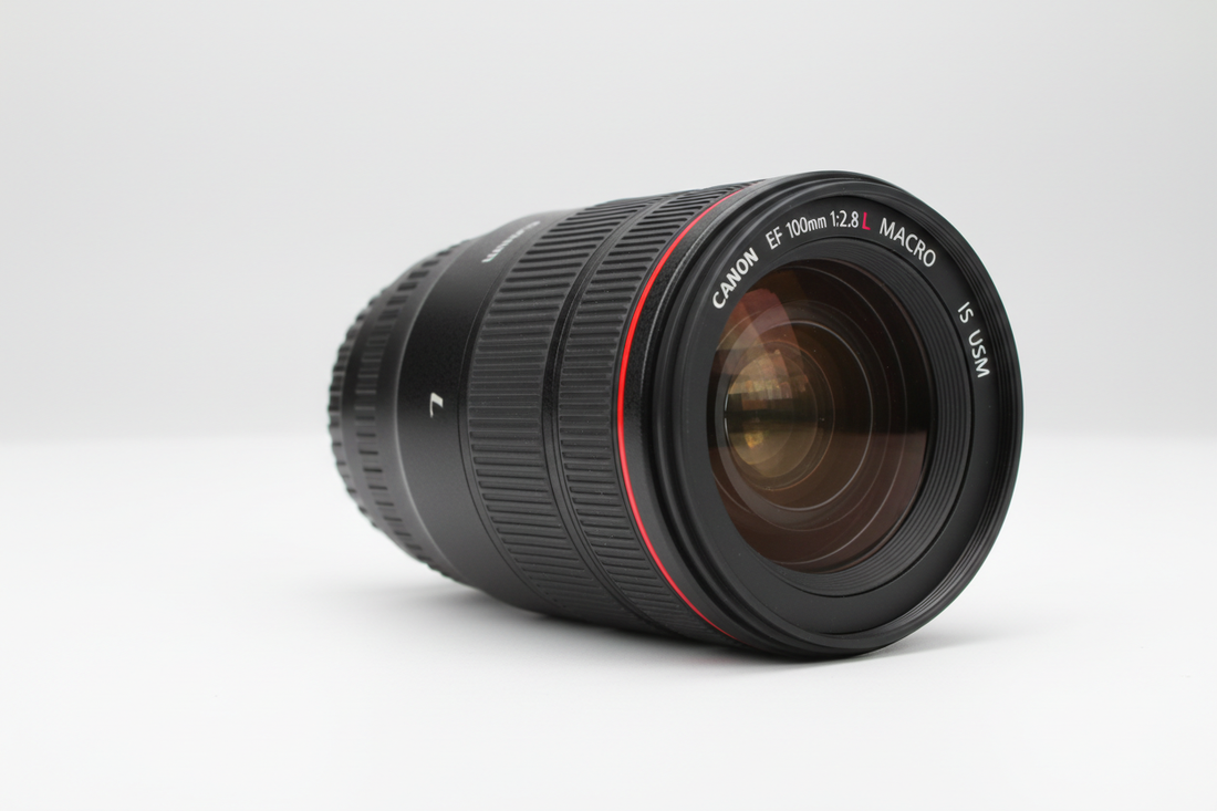 Canon EF 100mm f/2.8L IS USM Macro Lens Review 2025