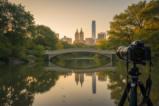 Capturing the Heart of the City: Expert Central Park Photography Tips