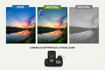 Decoding Camera Colour Profiles: A Complete Guide to Vivid, Natural, a ...