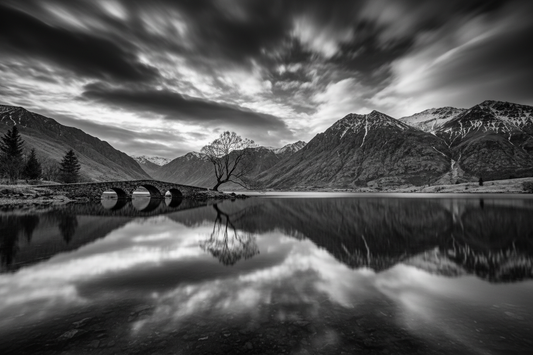 Filter Your Way to Stunning Black and White Images: Everything You Need to Know